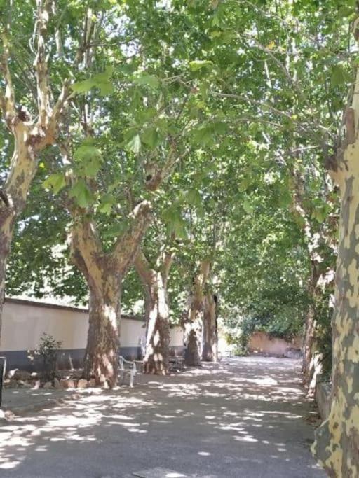 Toulon Est La Valette Studio 35M2 Dominant Parking Proche Mer Leilighet Eksteriør bilde
