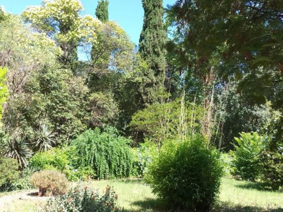 Toulon Est La Valette Studio 35M2 Dominant Parking Proche Mer Leilighet Eksteriør bilde